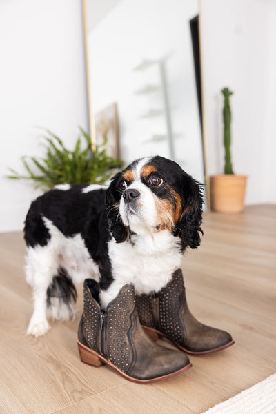 Nailed It Ankle Boot in White Southern Soul Collectives