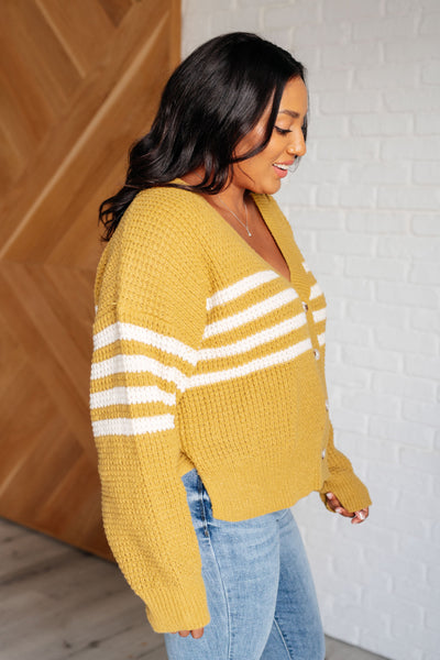 On Top of the World Striped Cardigan Southern Soul Collectives