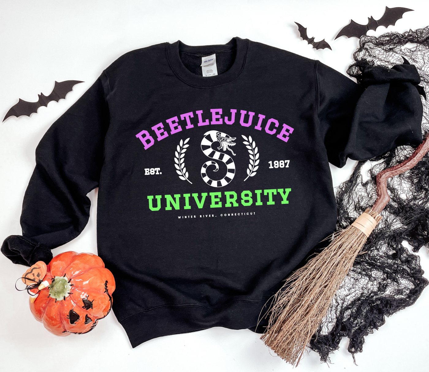 BeetleJuice University Graphic Sweatshirt