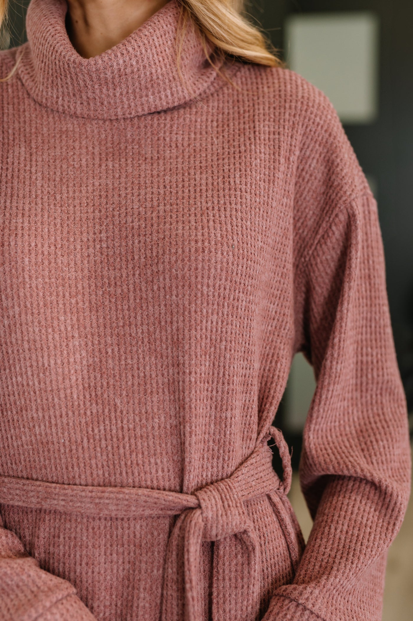 Travel Plush Knit Dress in Autumn Berry Southern Soul Collectives