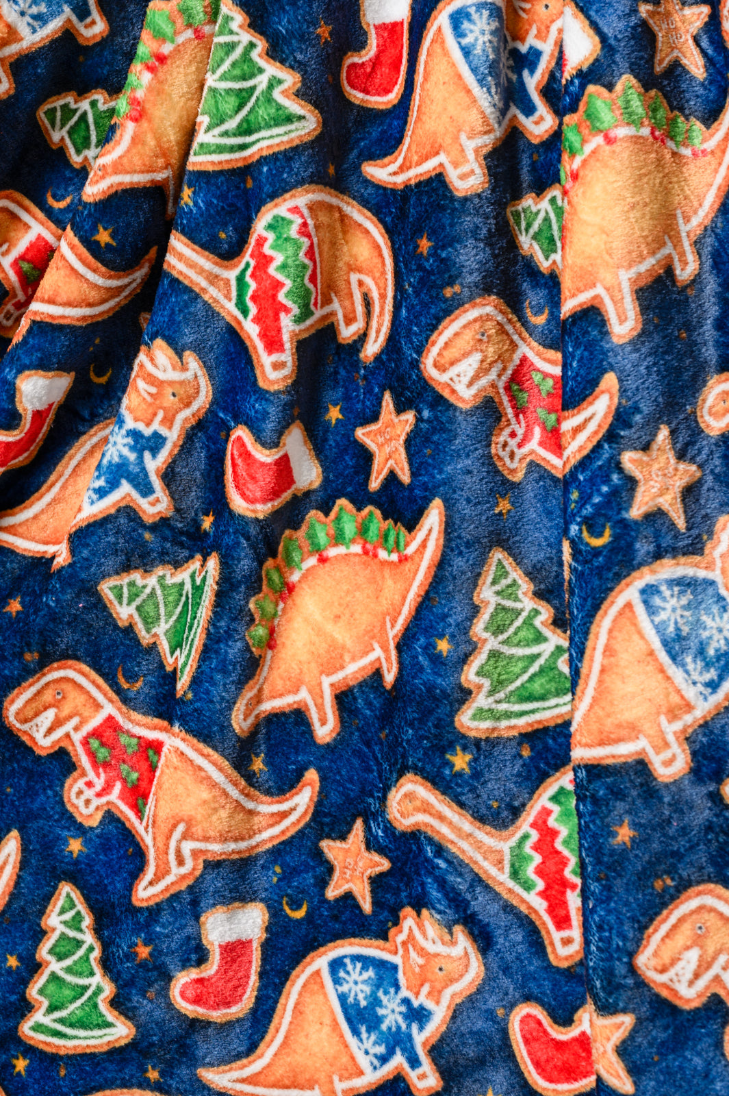 Holiday Fleece Blanket in Dino Cookie Womens Southern Soul Collectives