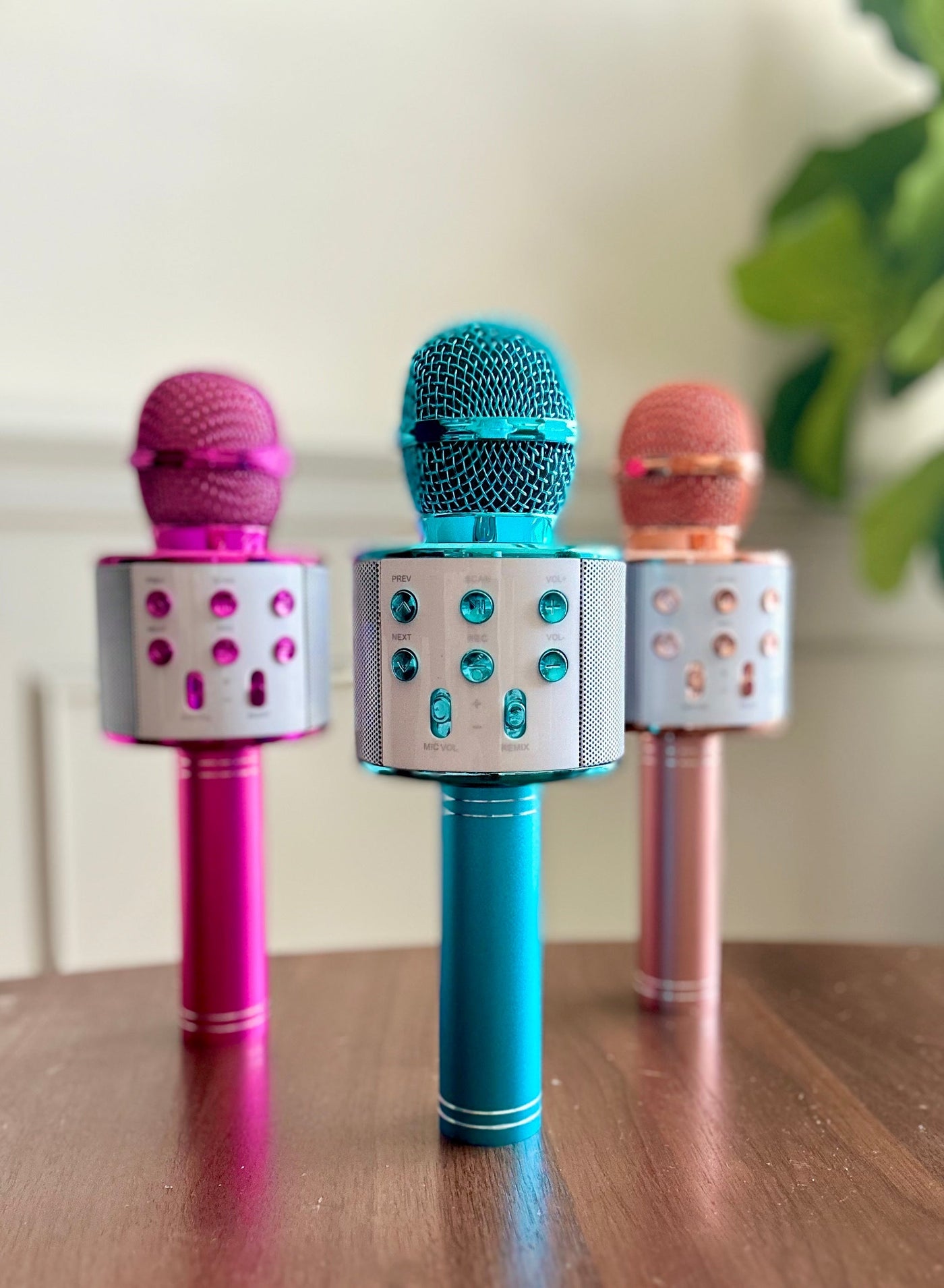 Rockstar Karaoke Microphone in Assorted Colors - Southern Soul Collectives
