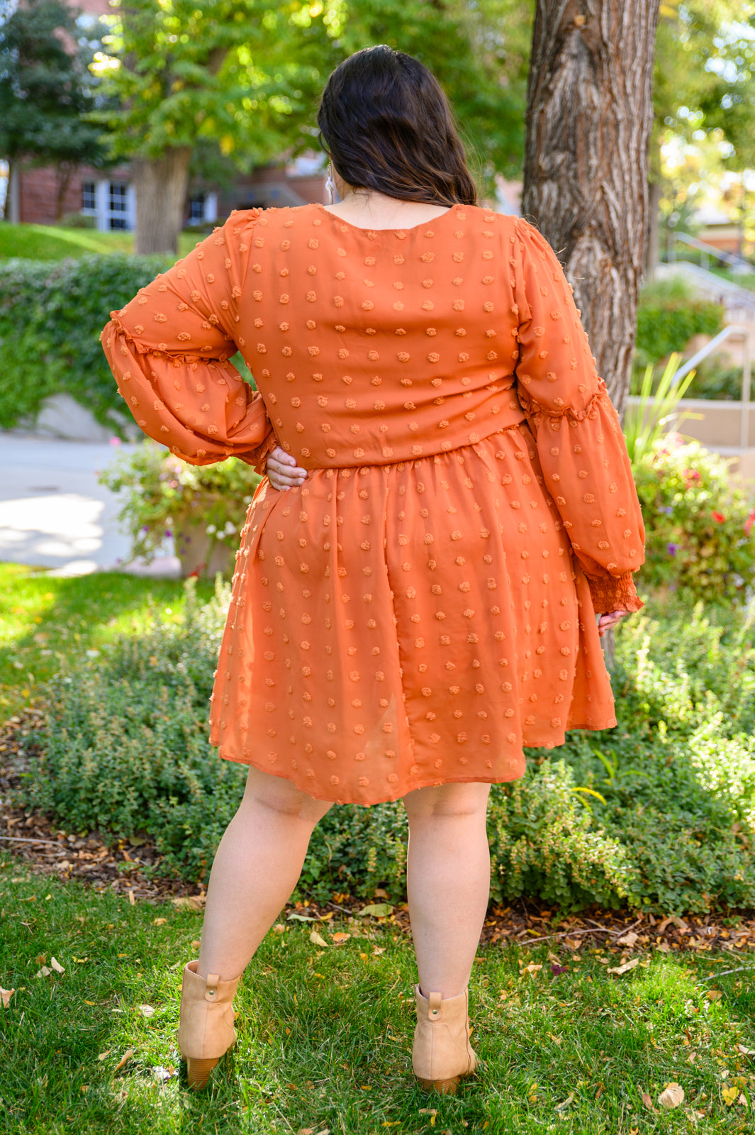Special Feeling Swiss Dot Dress In Rust Womens Southern Soul Collectives 