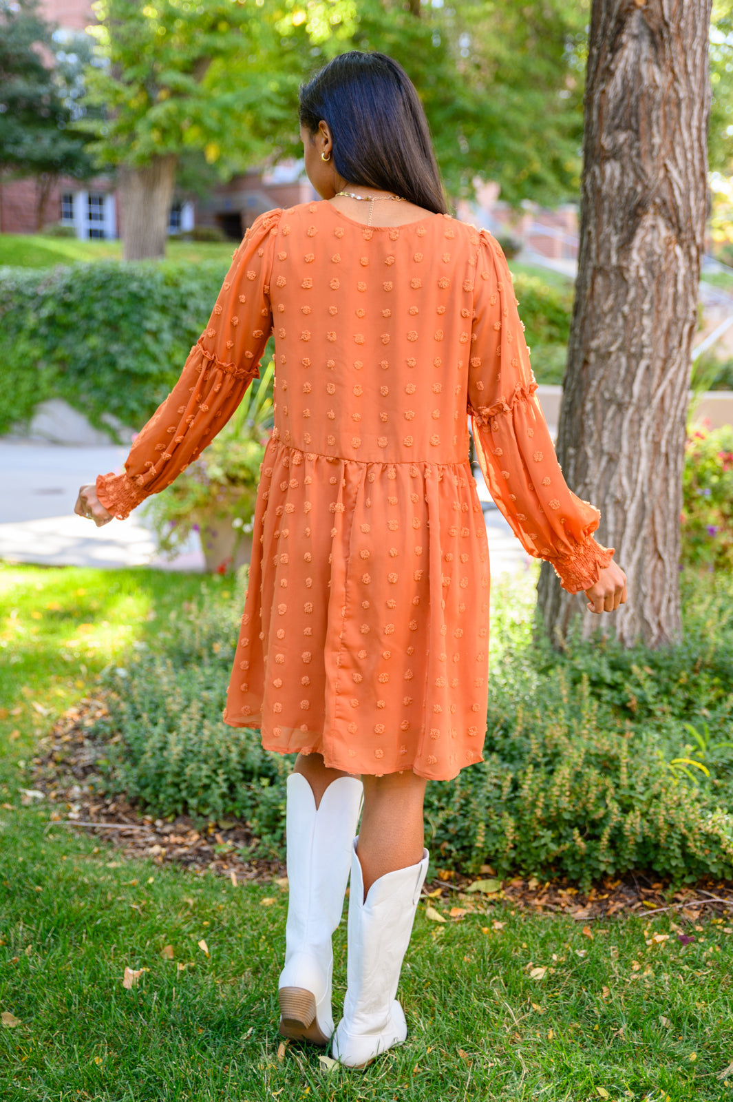 Special Feeling Swiss Dot Dress In Rust Womens Southern Soul Collectives 